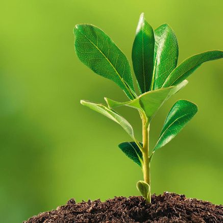 Аанро-НОВОСТИ-ОБЛОЖКИ-13