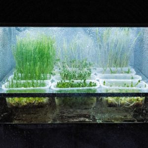 СитиФермер ANROtech