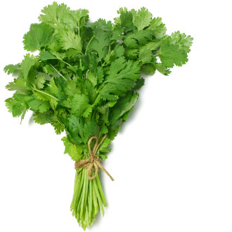 img-herbs-2