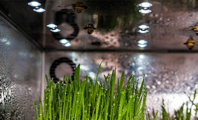 photo-cityfermer-6