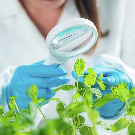 4-botanist-examining-plant-samples-microgen-imagesscience-photo-library